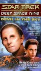Devil in the Sky by Greg Cox & John Gregory Betancourt is a Star Trek The Next Generation novel showcased 
in the Outpost 10F Library.